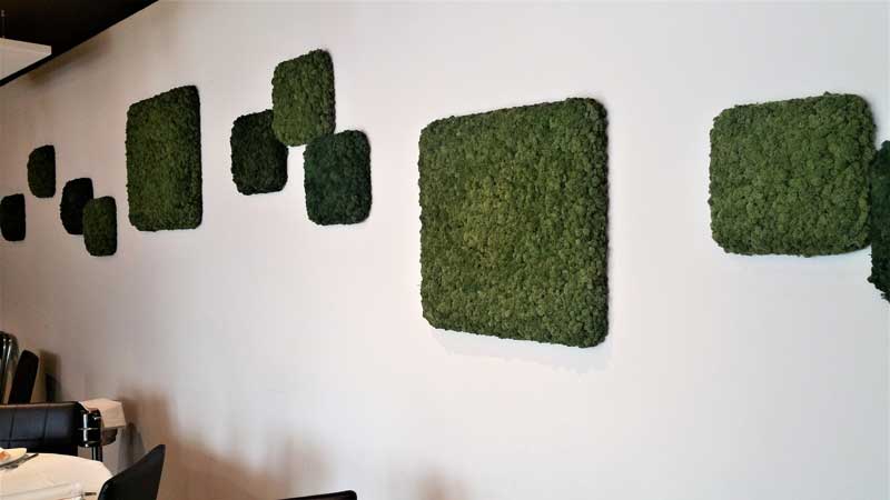 panelmusgo2