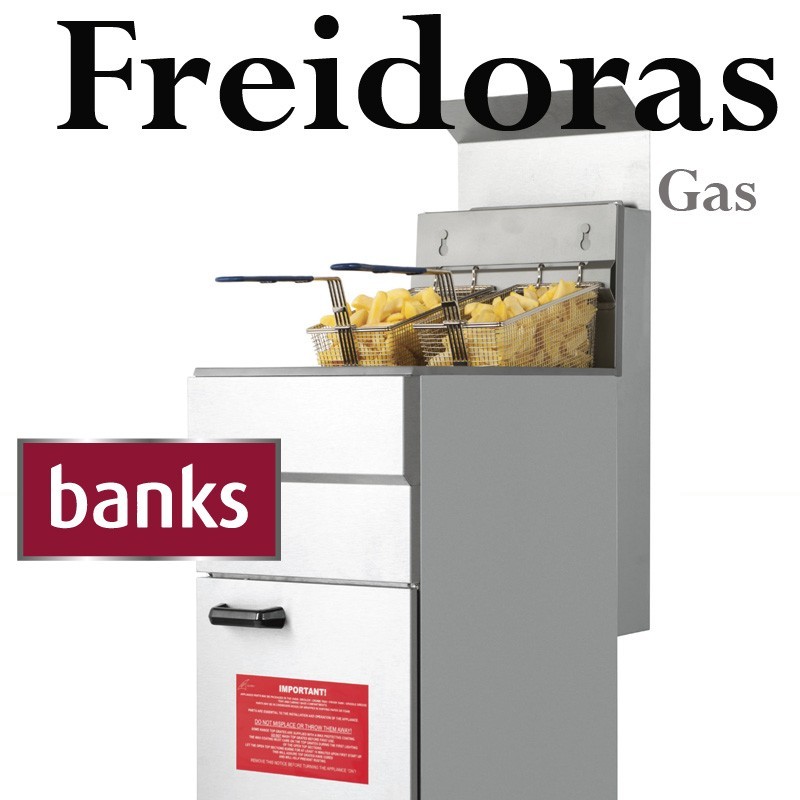 Freidoras de gas